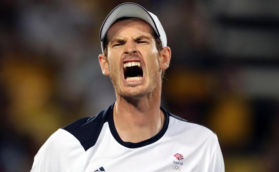 Andy Murray 网球